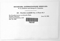 Puccinia crandallii image